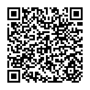 QR Code for The Dynamics of Interpersonal Behavior
