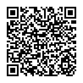 QR Code for Macroeconomic Theory