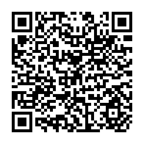 QR Code for Management Decision Making