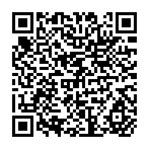 QR Code for Dialectic in Practical Religion