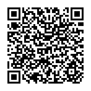 QR Code for Social Behaviour and Experience
