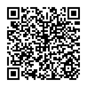 QR Code for Introductory Rural Sociology