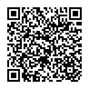 QR Code for Political Sociology