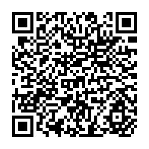 QR Code for Growth and Income Distribution