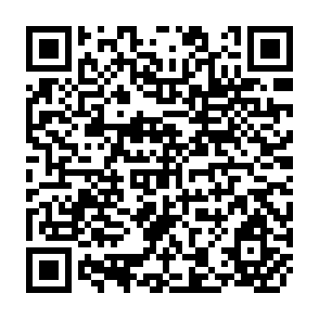 QR Code for The Distribution of Income between persons