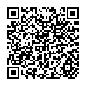 QR Code for Political Systems of Highland Burma