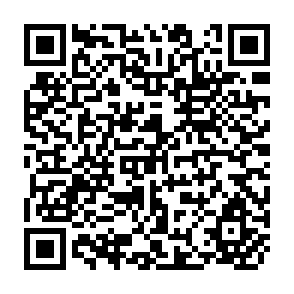QR Code for Sociology an introduction