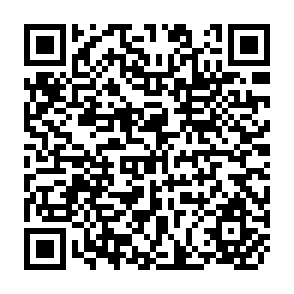 QR Code for Sociology an introduction