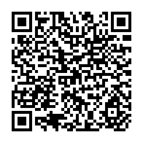QR Code for The politics of Kinship