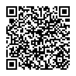 QR Code for The Economics of Poverty