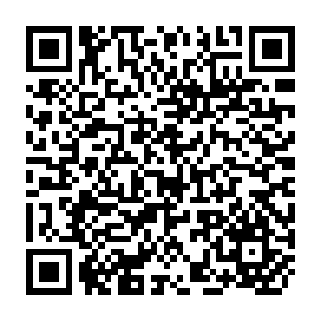 QR Code for Race,Community and Conflict