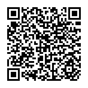 QR Code for Demographic Techniques