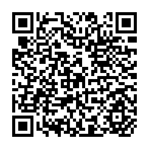 QR Code for The Transfer of Institutions from Developed to Developing Countries
