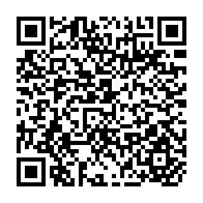 QR Code for Figures and Appendices