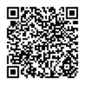 QR Code for Interpersonal Behavior in Small Groups