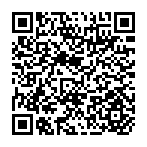 QR Code for Studies in Development Planning