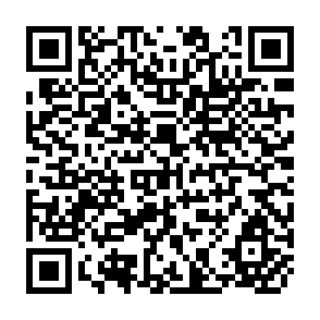 QR Code for SOCIOLOGY AND EVERYDAY LIFE