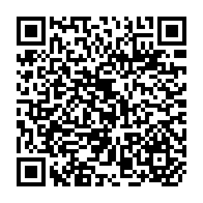 QR Code for Sociological Theory