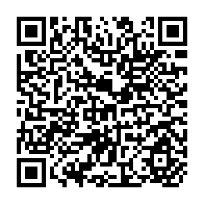 QR Code for The Land and The Development or The Turmoil and the Torment