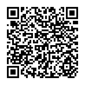QR Code for Class, Culture and the Curriculum