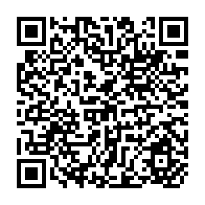 QR Code for The Controlled Economy