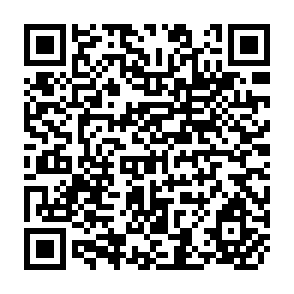 QR Code for The Role of Trade Unions in the Development Process with a Case Study of  Ghana