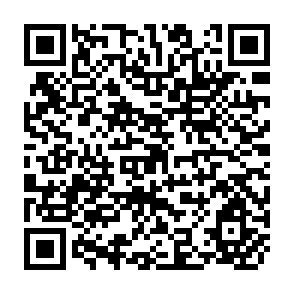 QR Code for The Age of Plenty
