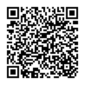 QR Code for The Age of Bureaucracy