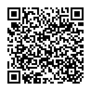 QR Code for An introduction to index language construction