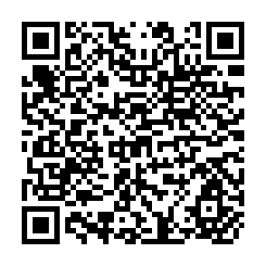 QR Code for Beekeeping in India