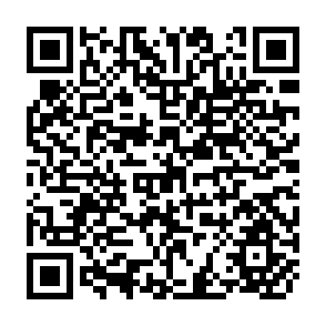 QR Code for Beekeeping in India