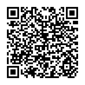 QR Code for The Sociology pf Max Weber