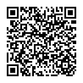 QR Code for Nutritive Values of Indian Cattle Feeds and the Feeeding of Animals