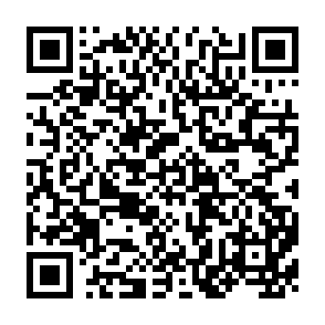 QR Code for A Sociology of Organizations