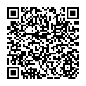 QR Code for Sociology as Social Criticism