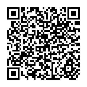 QR Code for Studies in the Development of Capitalism