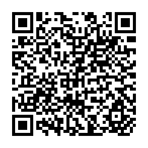 QR Code for Beneath the Surface
