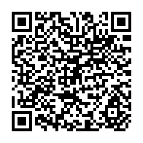 QR Code for Papers on Capitalism, Development and Planning