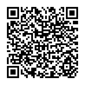 QR Code for China's Economy and the Maoist Strategy
