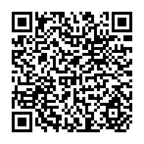 QR Code for Studies in The Labor Theory of Value