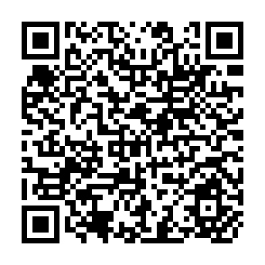 QR Code for The marxist theory of alienation