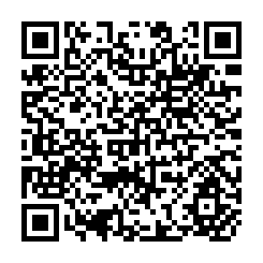 QR Code for Capitalism in Crisis