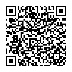 QR Code for The Potential for Regional Cooperation in Fertilizer