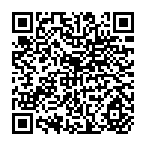 QR Code for Dynamics part 2