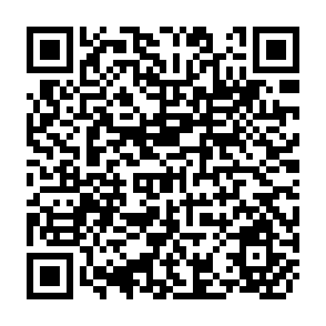 QR Code for Milk and Milk Products in Human Nutrition