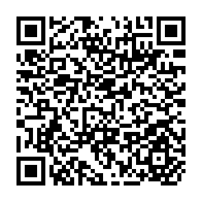 QR Code for World Bank Research Program