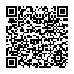 QR Code for The Consequences of Farm Tractors in Pakistan