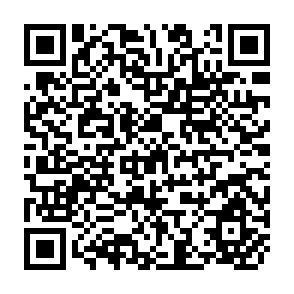 QR Code for The Urban Informal Sector