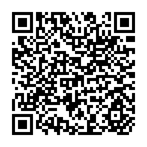 QR Code for Income Distribution, Employment and Growth A Case Study of Indonesia