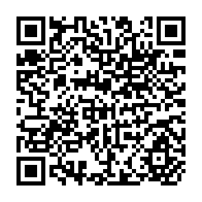 QR Code for LDC Balance of Payments Policies and the International Monetary System